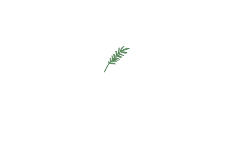 ACCPartnerLogos_Wild Paths